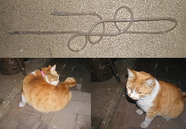 ネオン管　NEON　TUBE